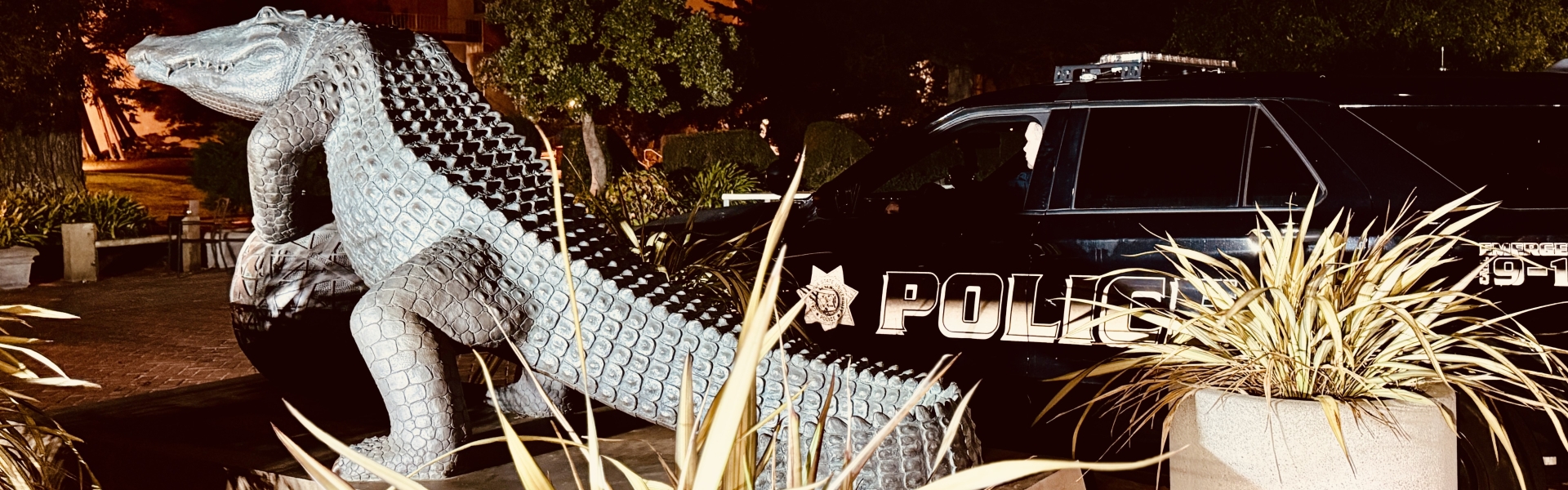 Image of the SFSU Gator statue with a UPD police SUV parked next to it